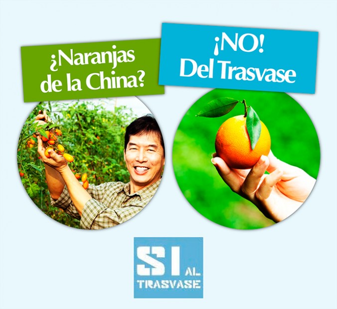 Naranjas de la china del trasvase