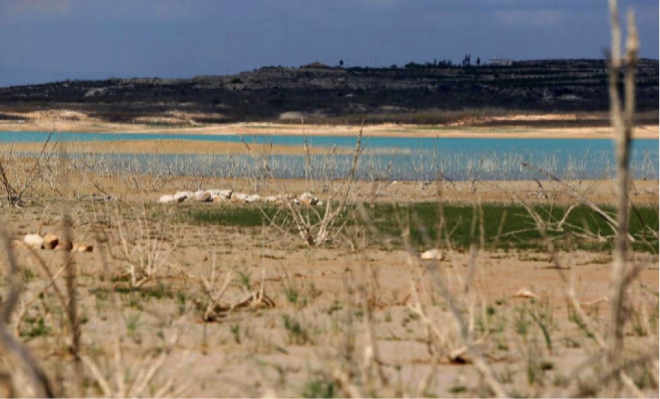 pantano pedrera